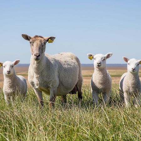 Ferienwohnung Rieke Norddeich  Esterno foto